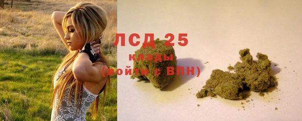 молекула духа Лагань