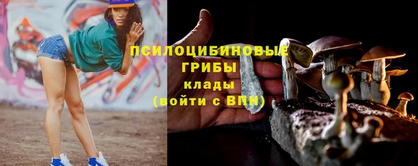 молекула духа Лагань
