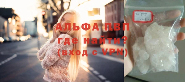 стаф Лабытнанги