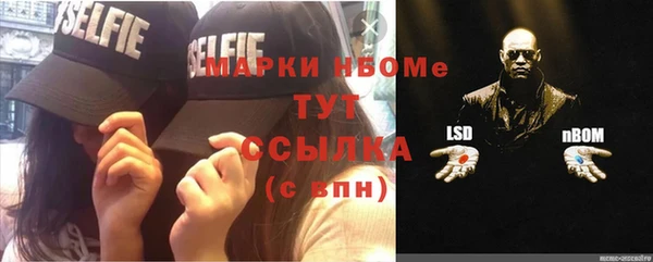 мдпв Кукмор